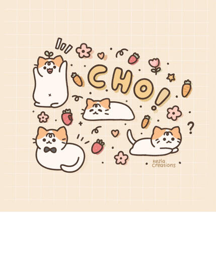 Character Sheet (± USD 40)